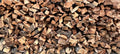 Firewood