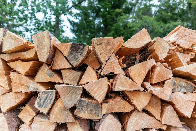 Firewood